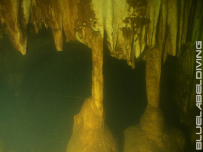 Blue Label Diving | Technical Diving Courses Phuket Thailand