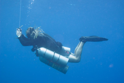 Blue Label Diving | Technical Diving Courses Phuket Thailand