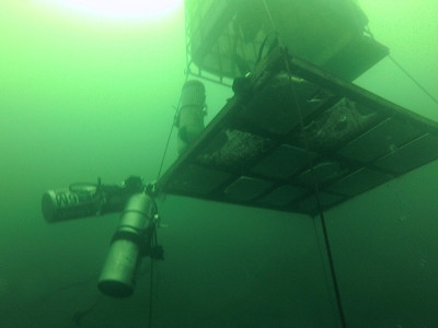 Blue Label Diving | Technical Diving Courses Phuket Thailand