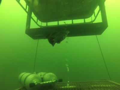 Blue Label Diving | Technical Diving Courses Phuket Thailand