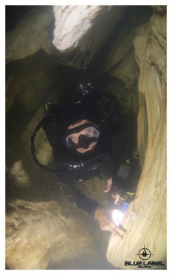 Blue Label Diving | Technical Diving Courses Phuket Thailand