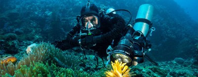 Blue Label Diving | Technical Diving Courses Phuket Thailand