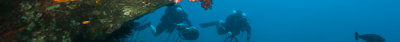 Blue Label Diving | Technical Diving Courses Phuket Thailand