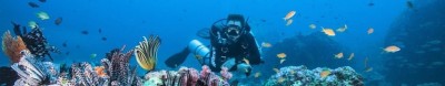 Blue Label Diving | Technical Diving Courses Phuket Thailand