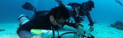 Blue Label Diving | Technical Diving Courses Phuket Thailand