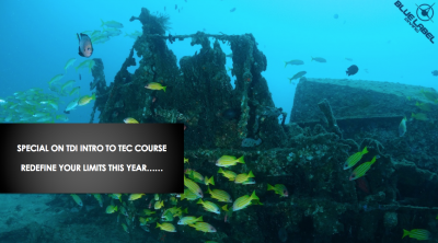 Blue Label Diving | Technical Diving Courses Phuket Thailand